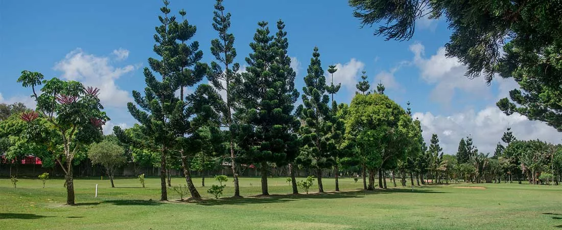 Le Mauritius Gymkhana - Club Vacoas